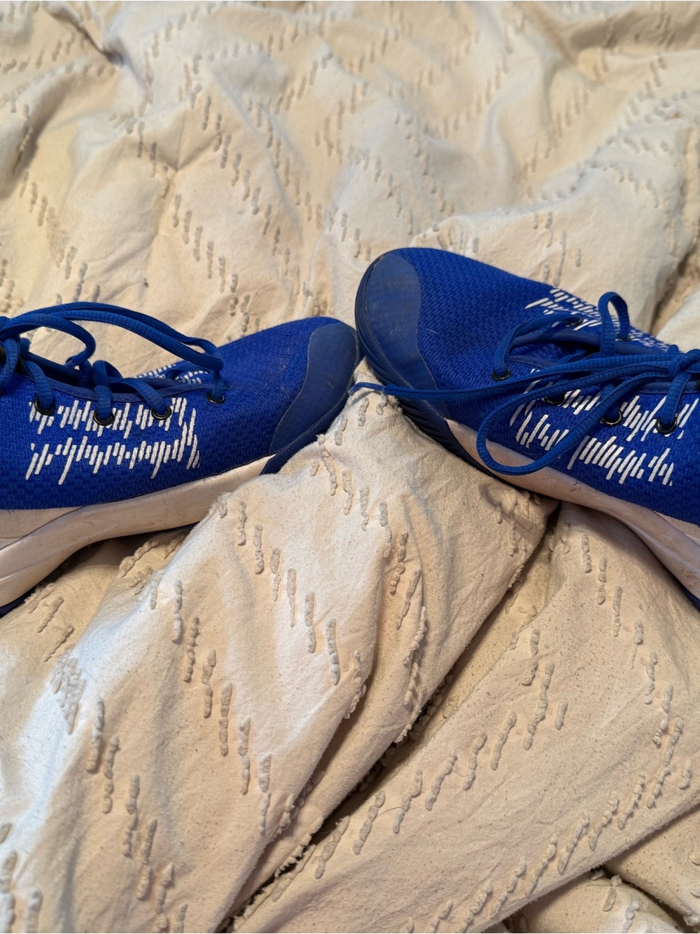 Nike Men’s Athletic Shoes in Blue and White